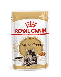 Royal Canin FBN MAINE COON WET (85g x 12)