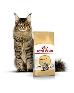 Royal Canin FBN kassitoit Maine Coon Adult 10 kg