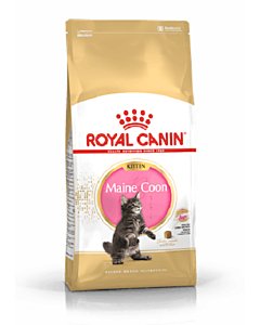 Royal Canin FBN MAINE COON KITTEN 400g