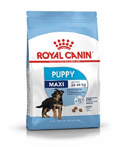 Royal Canin SHN Maxi Puppy / 1kg