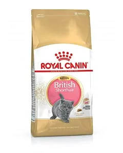 Royal Canin FBN Kitten British Shorthair kassitoit / 400g