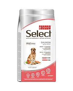 Select Adult Sensitive Salmon and Rice koeratoit  lõhe ja riisiga 12kg