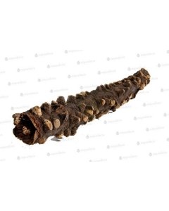 Terraarium kaunistus Silmad Puit 20-30cm