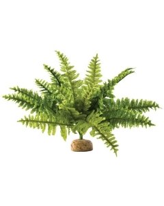 Terraariumi dekoor EXO-TERRA Boston Fern, Keskmine
