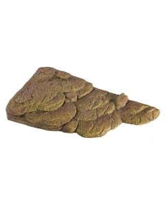 Terraariumi dekoor EXO-TERRA Kilpkonnakalju suur