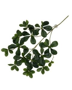 Terraariumi dekoor koos iminapiga Aralia 60x30x6cm roheline