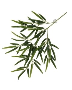 Terraariumi dekoor koos iminapiga Bamboo 65x35x4cm roheline