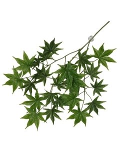 Terraariumi dekoor koos iminapiga Cannabis 65x40x5cm roheline