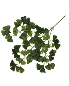 Terraariumi dekoor koos iminapiga Ginko 63x36x5cm tume roheline