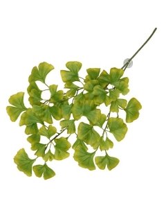 Terraariumi dekoor koos iminapiga Ginko 63x36x5cm roheline