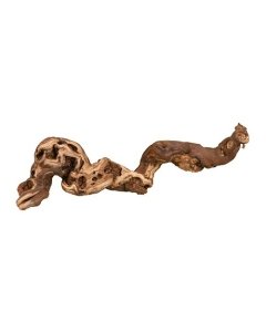 Terraariumi dekoor Viinamarjapuu, M: 30-40 cm