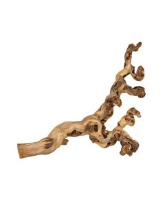 Terraariumi dekor Grape vines/viinapuu, 55-80cm / XL
