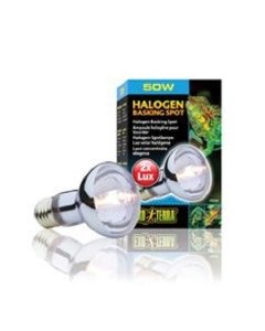 Terraariumi lamp Halogen Basking Spot 50W PT2181