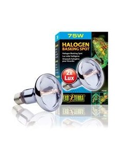 Terraariumi lamp Halogen Basking Spot 75W PT2182
