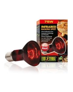 Soojenduslamp Exo Terra Infrared Basking Spot R20/ 75W
