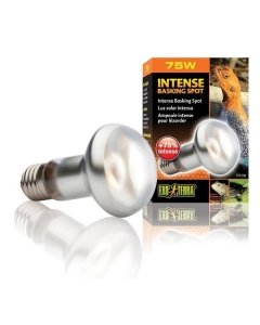 Soojenduslamp Exo Terra Sun Glo Intense Basking Spot S20 / 75W	