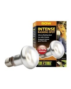 Soojenduslamp Exo Terra Sun Glo Intense Basking Spot S20 / 50W	