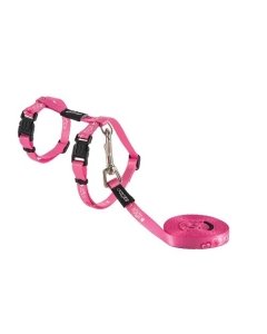 Traksid kassidele rihmaga Kiddycat Pink Hearts 24-40cm/1.8m