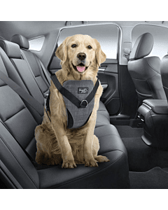 Traksid koerale turvaliseks autosõiduks ja jalutamiseks / L(23-36kg)