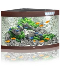 Akvaarium 'Trigon, tume puit  / 350l