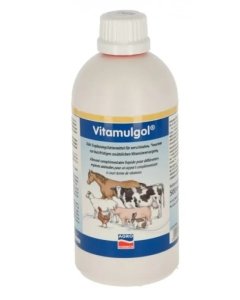 Multivitamiin Vitamulgol 500ml