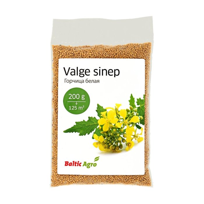Valge sinepi seemned