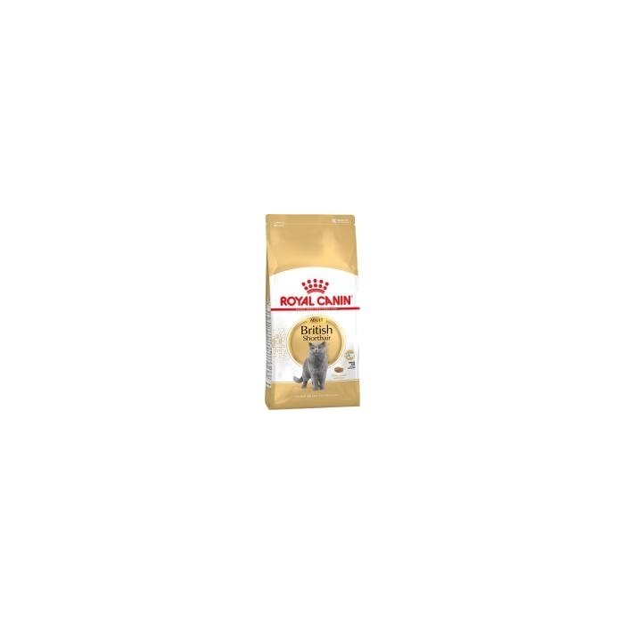 Royal Canin FBN British Shorthair Adult kassitoit / 4kg
