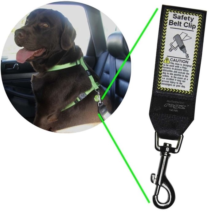 Rogz Safety Belt, auto ohutusrihm / 21cm /45mm-3/4