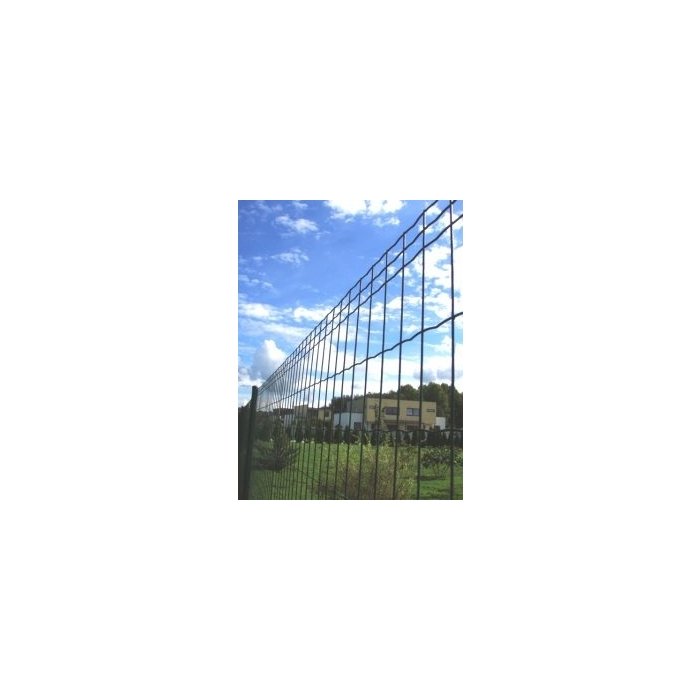 Keevisvõrk CLASSIC (Ø2,2mm) RAL6005 roheline 10m rullis