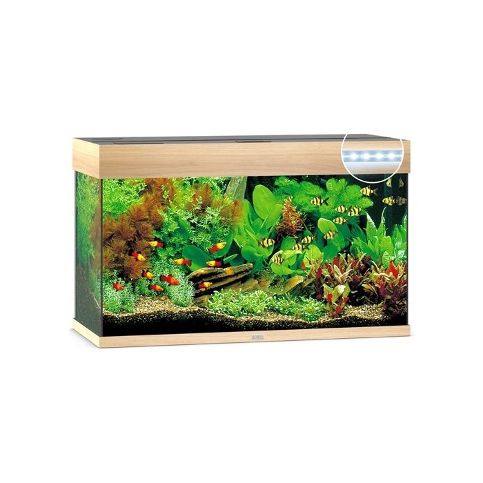 Akvaarium 'Rio 125' LED, hele puit  / 125L 