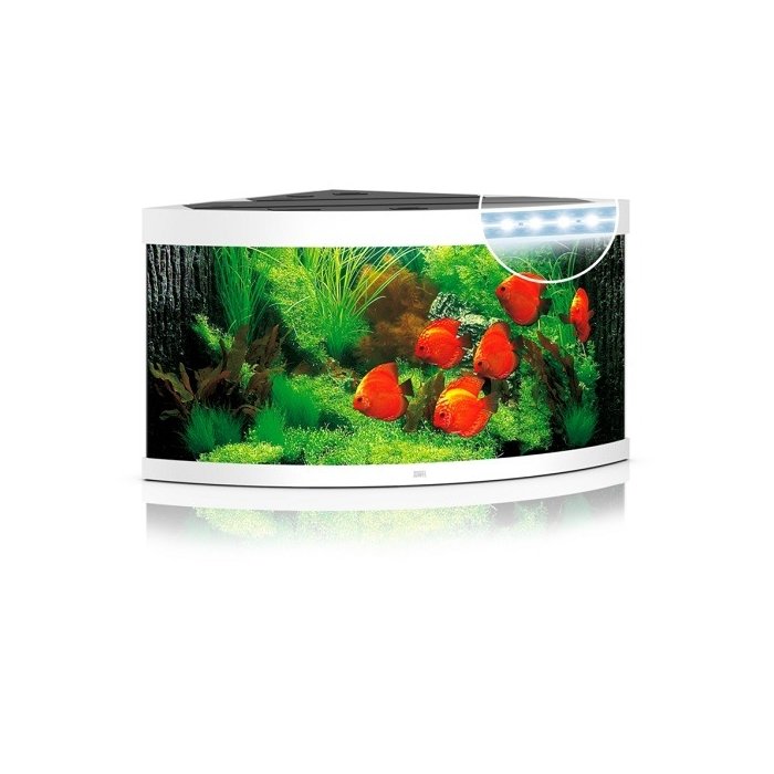 Akvaarium Trigon LED 190 L valge