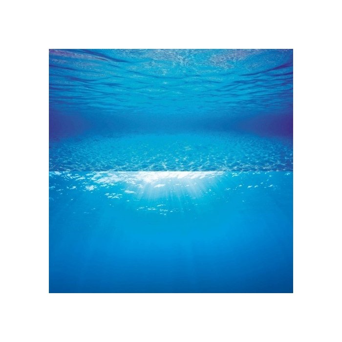 Akvaariumi taust Poster 2 S 60x30cm