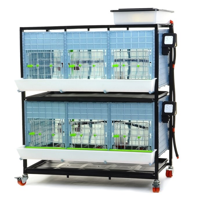 Bruuder Comfortplast noorlindudele / kõrgus 40cm / 2 korrust