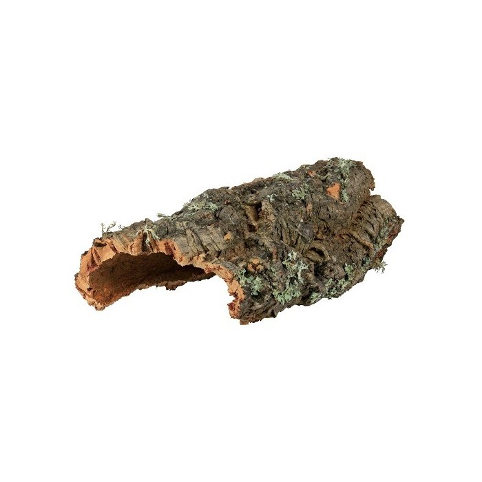 Terraariumi/puuri dekoratsioon Cork Board M / 40cm 
