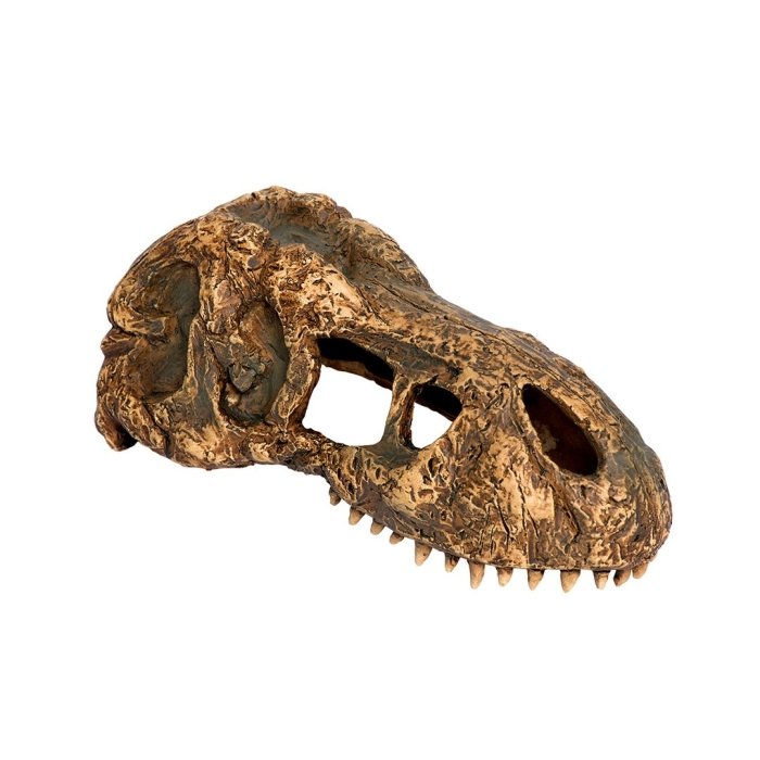 EXO-TERRA T-Rex Skull terraariumi dekoratsioon/varjend Dinosauruse kolju