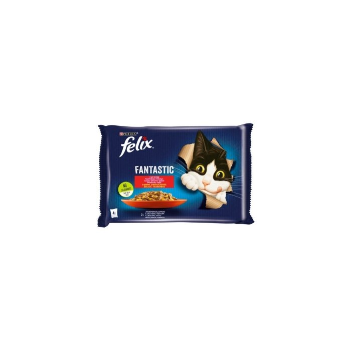 Felix Fantastic kiisueine kana ja loomalihaga / 4x85g