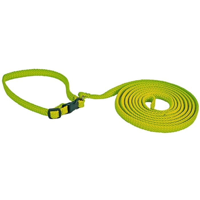 Jalutusrihm koos kaelarihmaga / 10mmx170cm + 22-34cm / neoonroheline