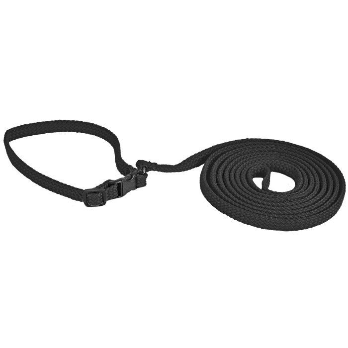 Jalutusrihm koos kaelarihmaga / 10mmx170cm + 22-34cm / must