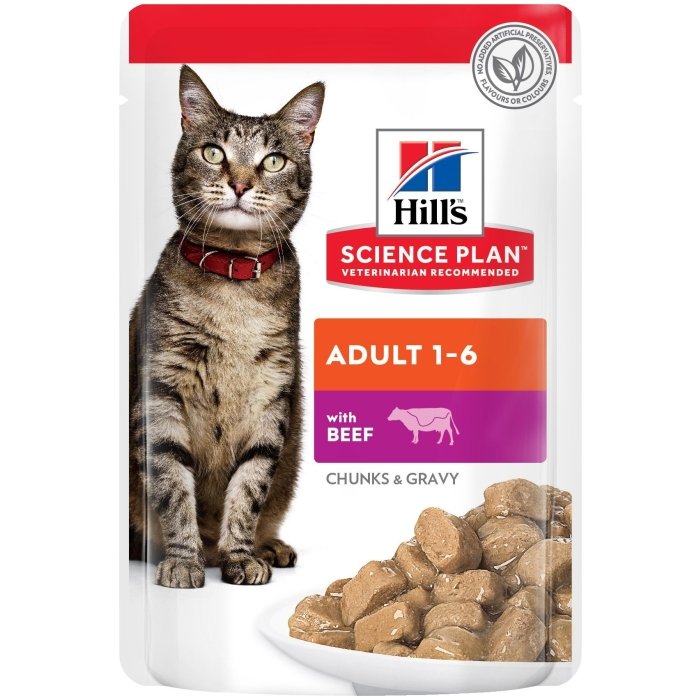 Hill´s Science Plan kassi einekotike veiselihaga / 85g