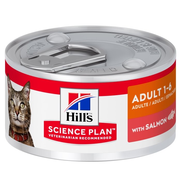 Hill's Science Plan kassikonserv lõhega / 82g