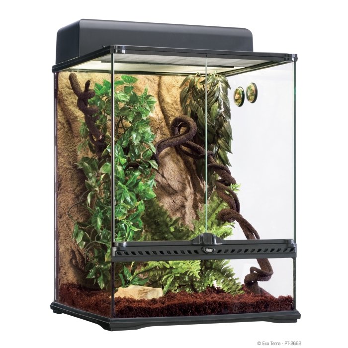 Klaasist terraarium - Exo Terra Habitat Kit Rainforest / 45х45х60cm (PT2662) 