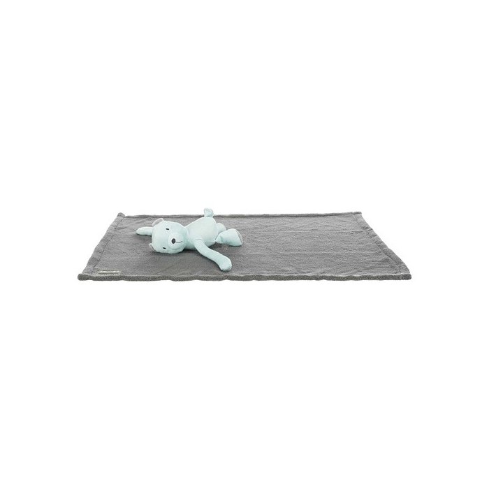 Koera tekk Junior cuddly set tekk/karu, plüüs, 75 × 50 cm, hall/mint