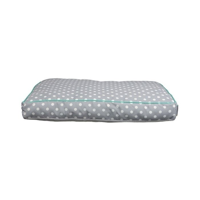 Lemmiklooma ase Edition 40 / 60x40cm 