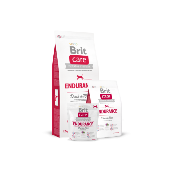 Brit Care aktiivsele koerale pardiliha&riisiga / 12kg