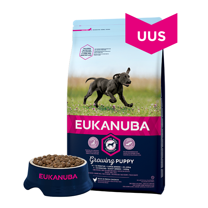 Koeratoit Eukanuba Puppy Large Breed