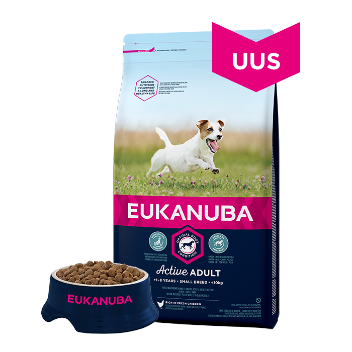 Eukanuba Adult Small Breed Chicken koeratoit