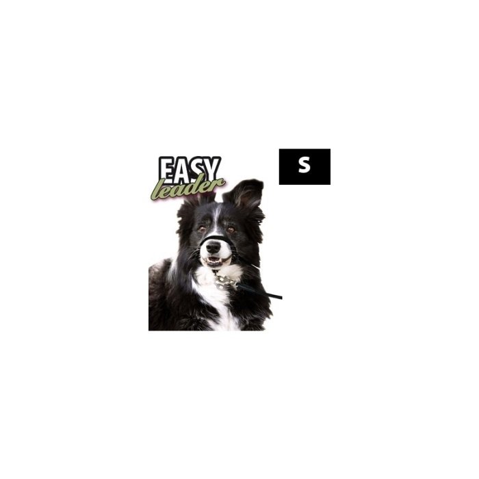 FLAMINGO koonurihm Easy Leader S