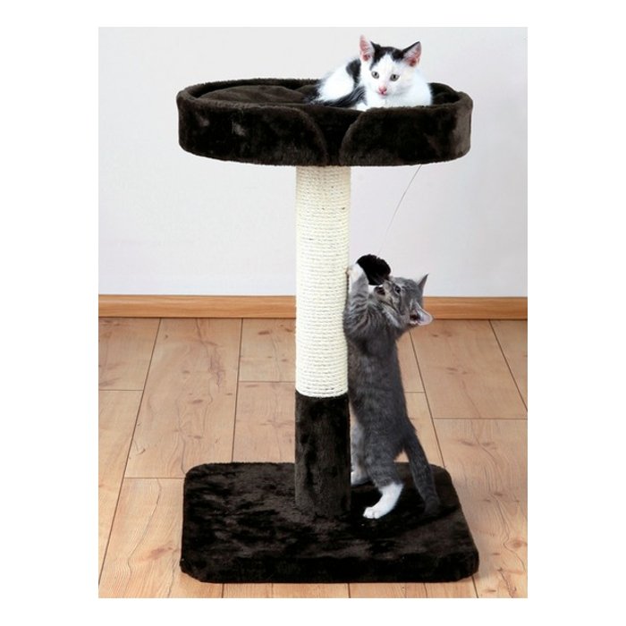 Kratsimispost Raul / 72cm