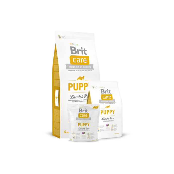 Brit Care kutsikatoit Lamba&Riisiga / 12kg 