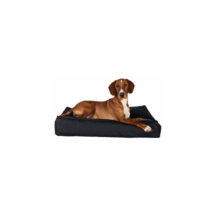 Koera magamiskoht Cleo cushion 